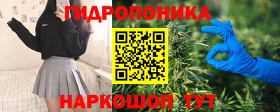 скорость Будённовск