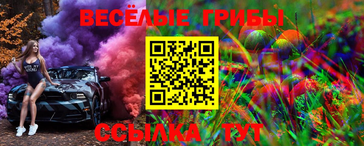 Псилоцибиновые грибы Cubensis Мценск